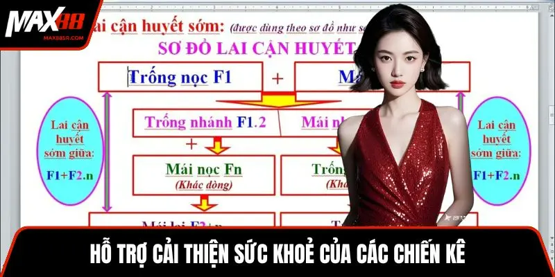 Hỗ trợ cải thiện sức khoẻ của các chiến kê