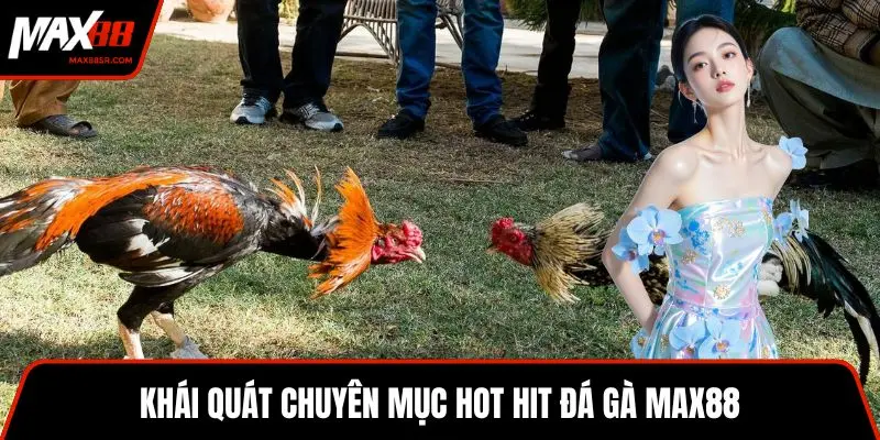 Khái quát chuyên mục hot hit đá gà MAX88
