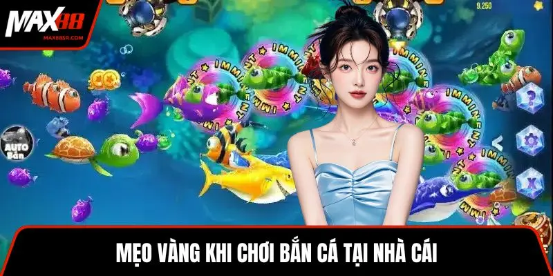 Mẹo vàng khi chơi bắn cá tại nhà cái