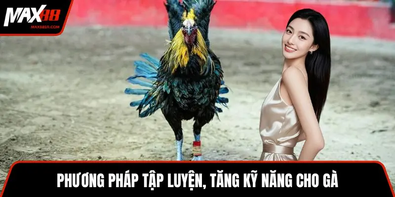 Phương pháp tập luyện, tăng kỹ năng cho gà