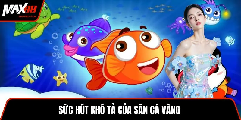 Sức hút khó tả của săn cá vàng