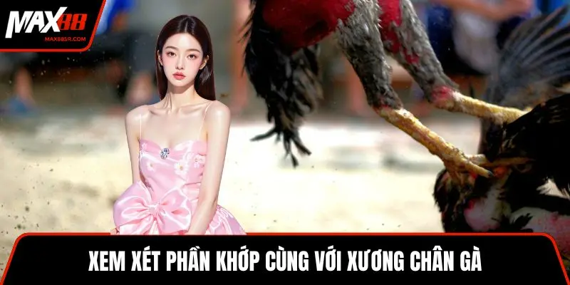 Xem xét phần khớp cùng với xương chân gà